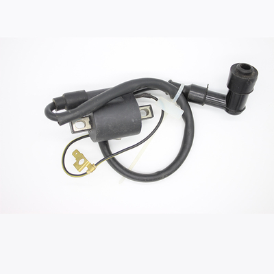 Copper Wire Best Selling Motorcycle Accessories and Spare Parts Motorcycle Ignition Coil JH125